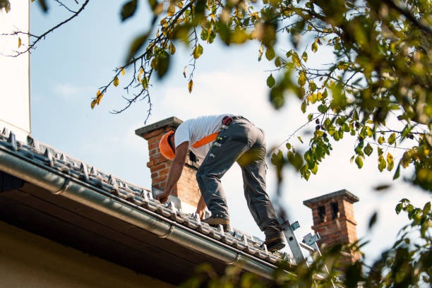 Best Residential Roofing Contractor  in Shelburn, IN