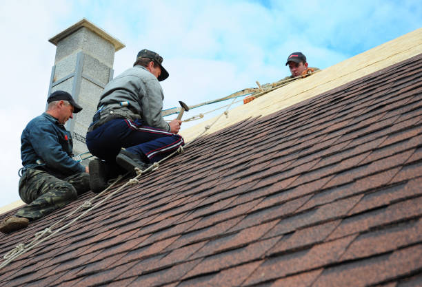 Best Best Roofing Contractors  in Shelburn, IN